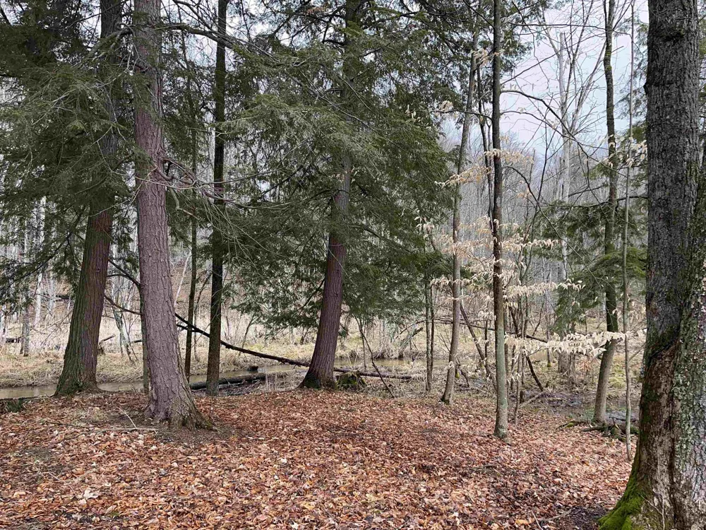 M-55 South Branch Township, MI 49689