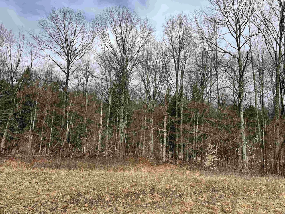 M-55 South Branch Township, MI 49689