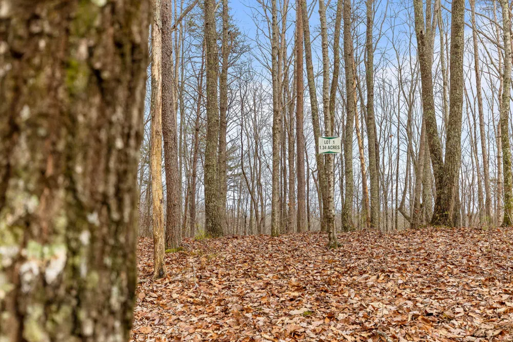 0 Lookout Crest Lane Lookout Mountain, GA 30750