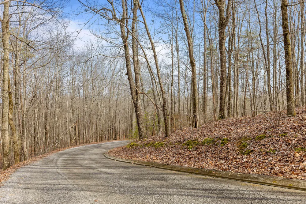0 Lookout Crest Lane Lookout Mountain, GA 30750