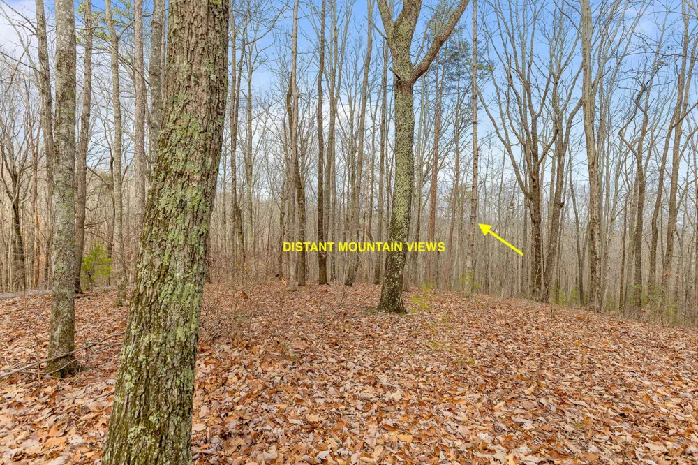 0 Lookout Crest Lane Lookout Mountain, GA 30750