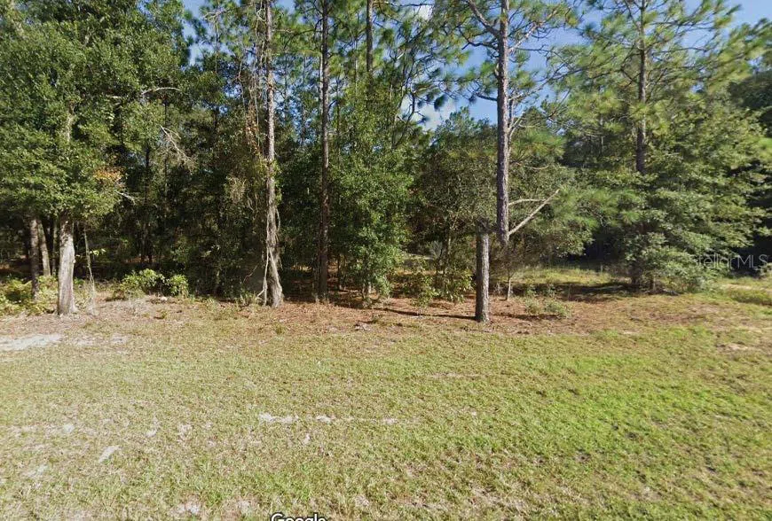 MISSOURI AVENUE Hawthorne, FL 32640