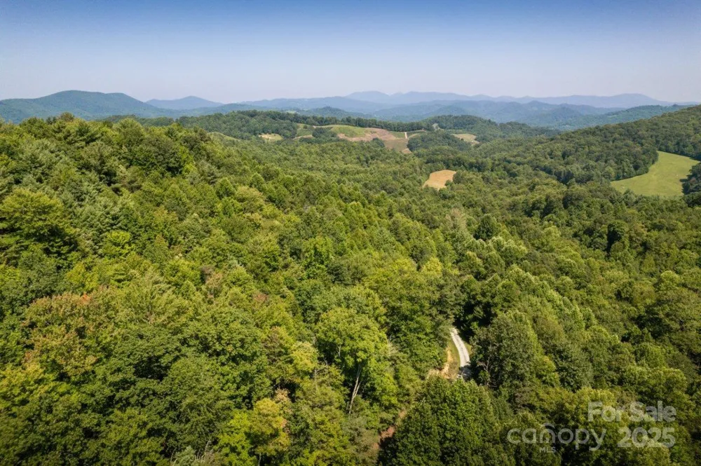 TBD Flat Springs Road Elk Park, NC 28622