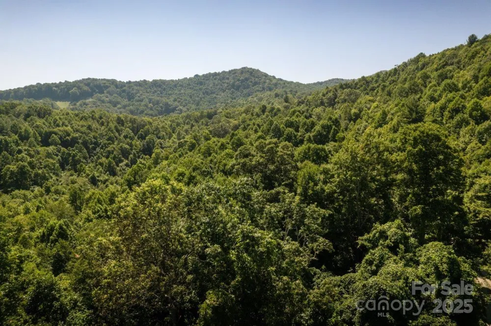 TBD Flat Springs Road Elk Park, NC 28622