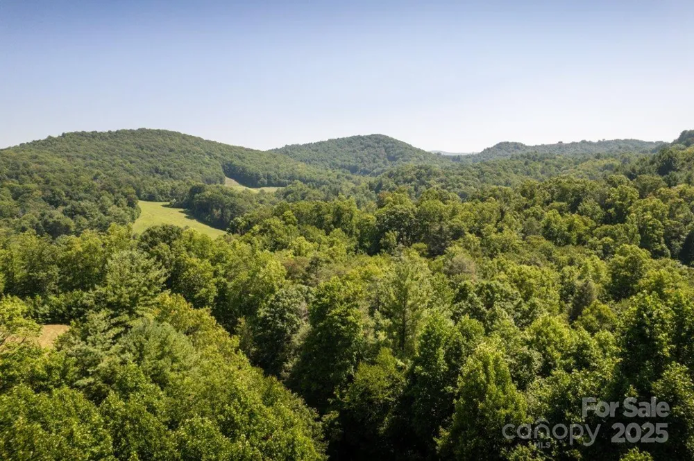 TBD Flat Springs Road Elk Park, NC 28622