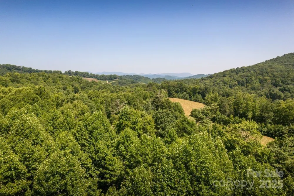 TBD Flat Springs Road Elk Park, NC 28622