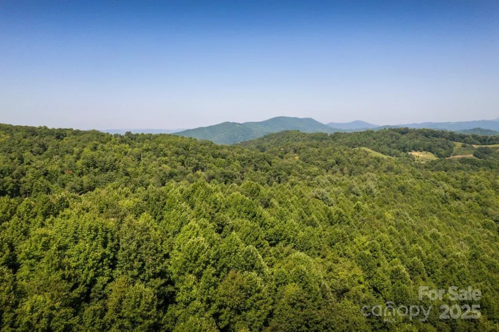 TBD Flat Springs Road Elk Park, NC 28622
