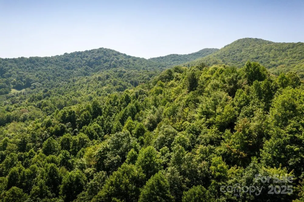 TBD Flat Springs Road Elk Park, NC 28622