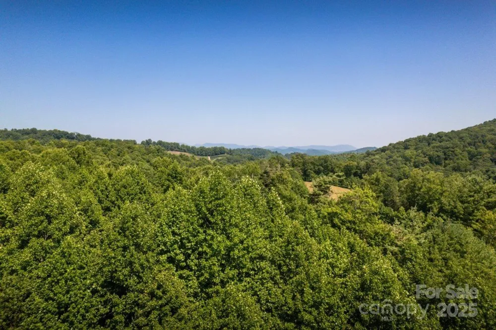 TBD Flat Springs Road Elk Park, NC 28622