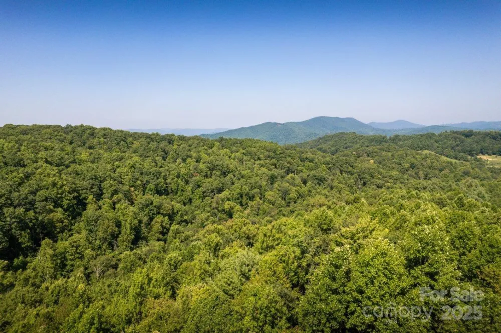 TBD Flat Springs Road Elk Park, NC 28622