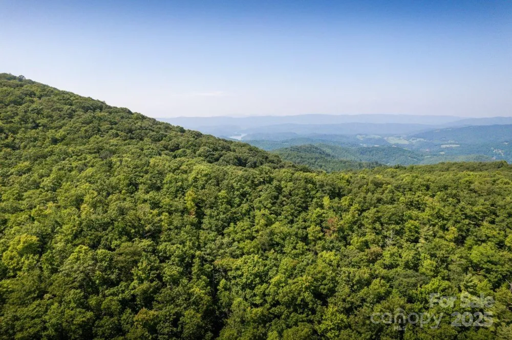 TBD Flat Springs Road Elk Park, NC 28622
