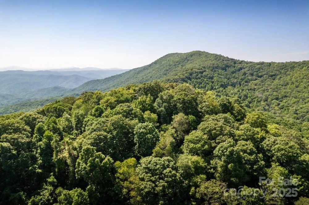 TBD Flat Springs Road Elk Park, NC 28622