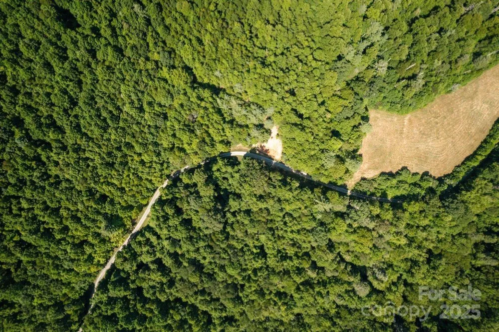 TBD Flat Springs Road Elk Park, NC 28622