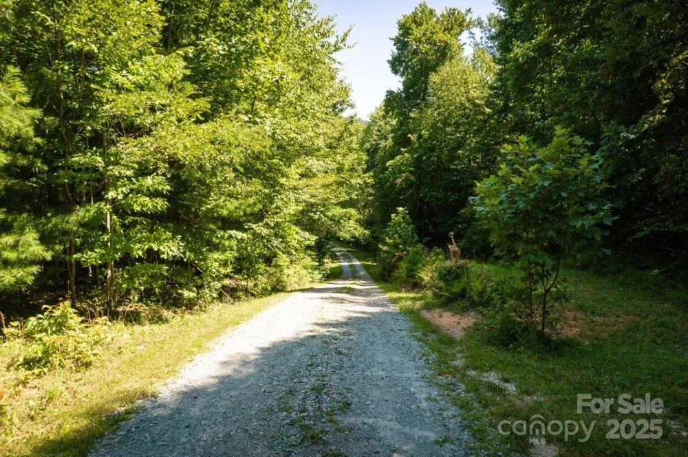 TBD Flat Springs Road Elk Park, NC 28622