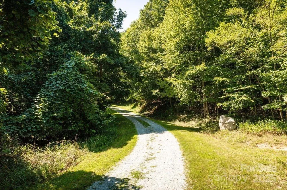 TBD Flat Springs Road Elk Park, NC 28622