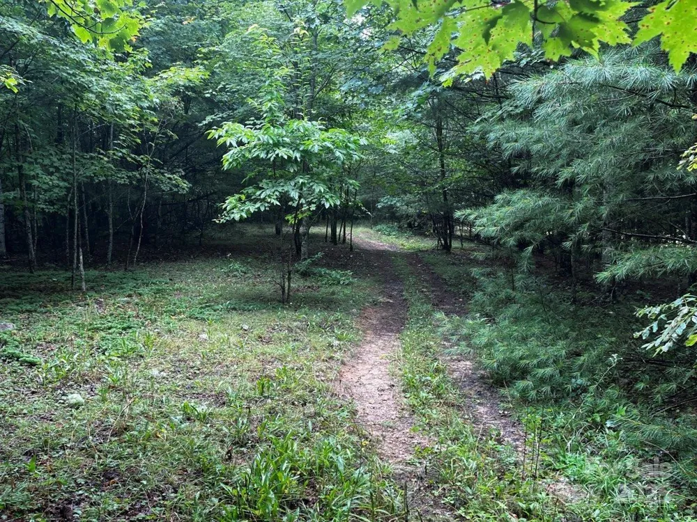 TBD Flat Springs Road Elk Park, NC 28622