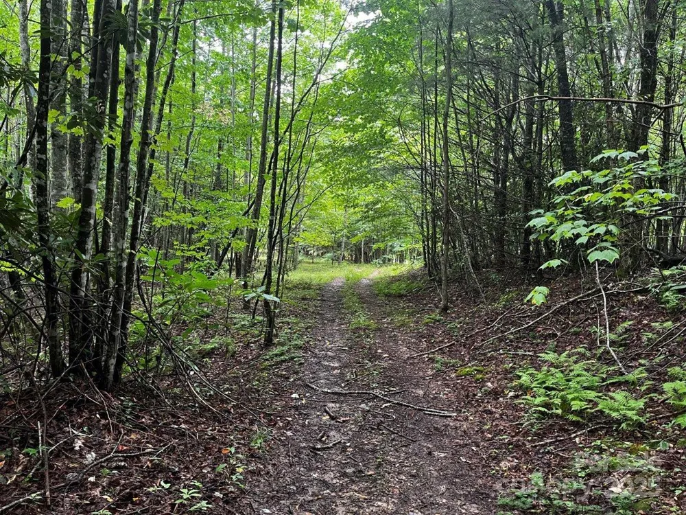 TBD Flat Springs Road Elk Park, NC 28622