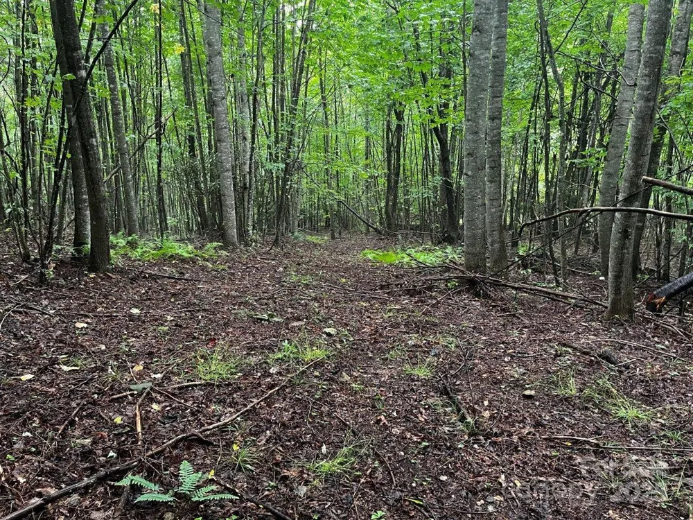 TBD Flat Springs Road Elk Park, NC 28622