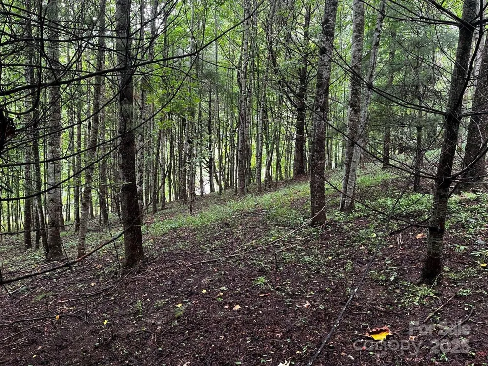 TBD Flat Springs Road Elk Park, NC 28622