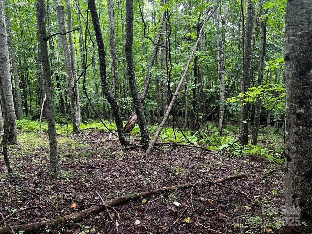TBD Flat Springs Road Elk Park, NC 28622
