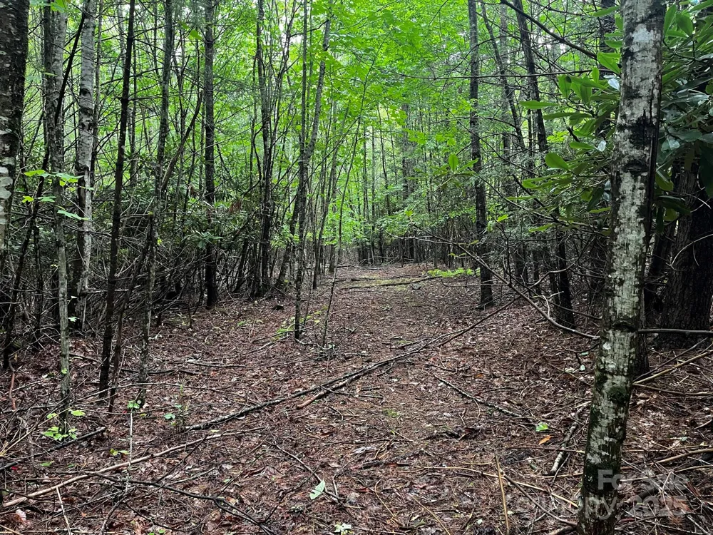 TBD Flat Springs Road Elk Park, NC 28622