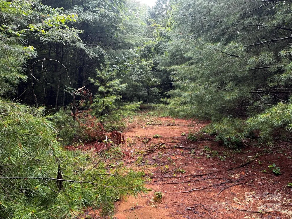 TBD Flat Springs Road Elk Park, NC 28622