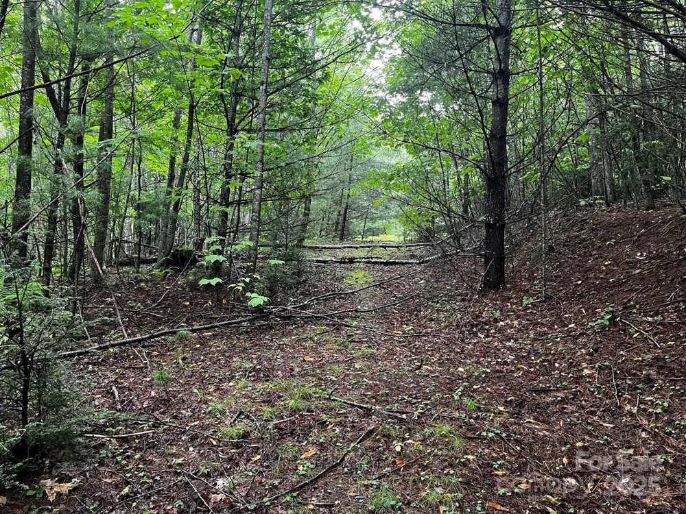 TBD Flat Springs Road Elk Park, NC 28622