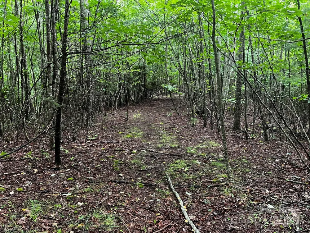 TBD Flat Springs Road Elk Park, NC 28622