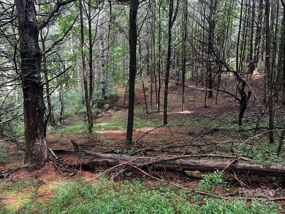 TBD Flat Springs Road Elk Park, NC 28622