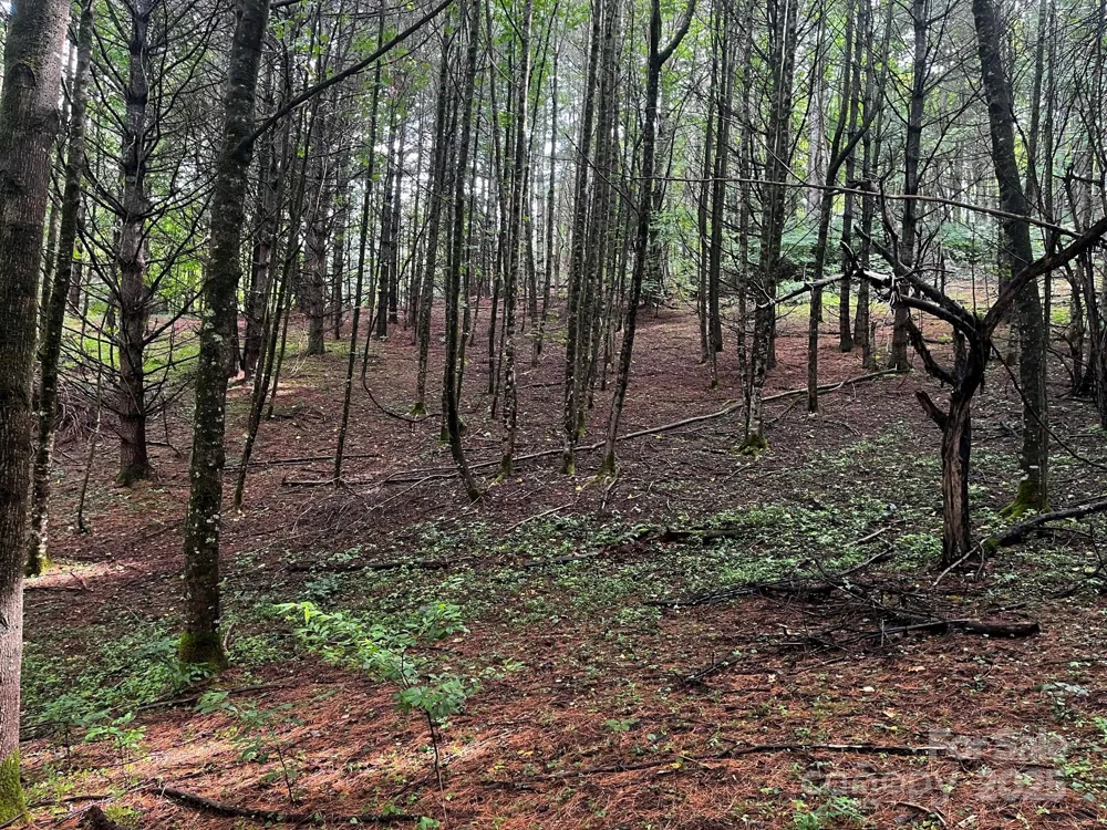 TBD Flat Springs Road Elk Park, NC 28622