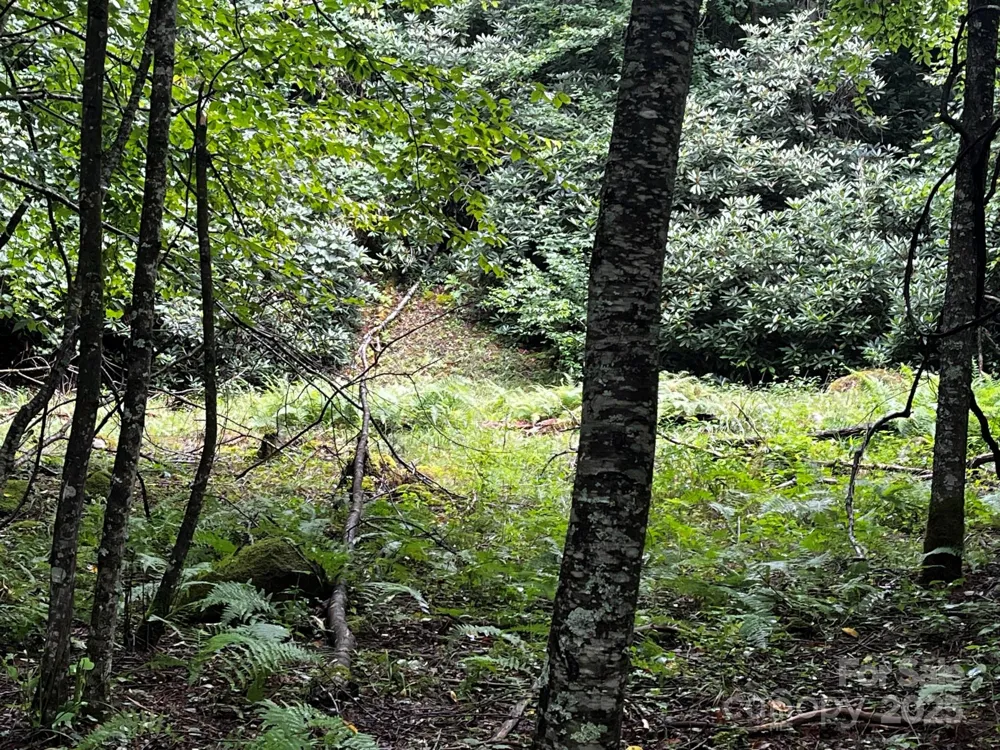 TBD Flat Springs Road Elk Park, NC 28622