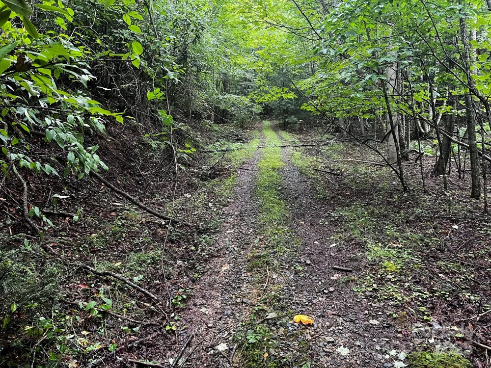 TBD Flat Springs Road Elk Park, NC 28622