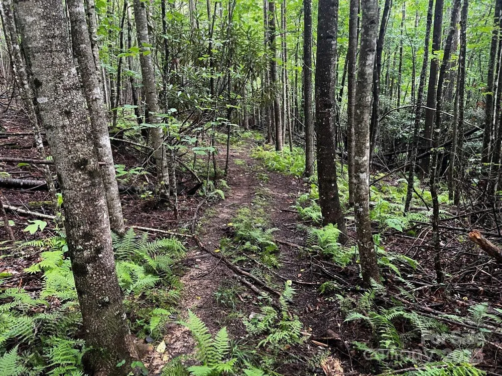 TBD Flat Springs Road Elk Park, NC 28622