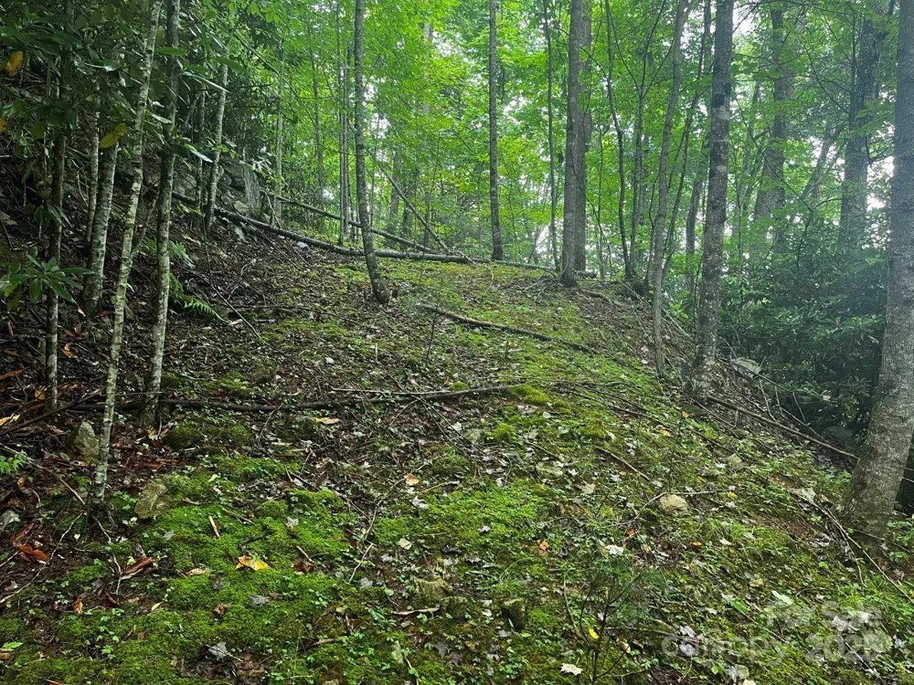 TBD Flat Springs Road Elk Park, NC 28622