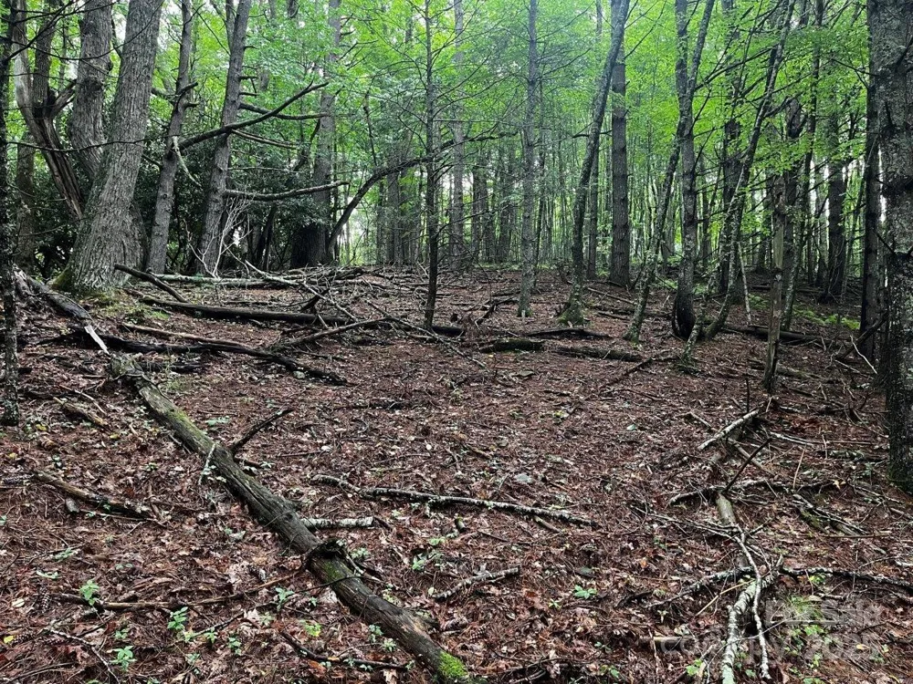 TBD Flat Springs Road Elk Park, NC 28622