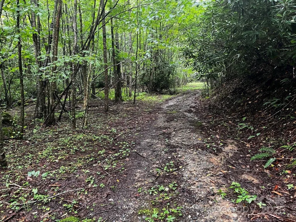 TBD Flat Springs Road Elk Park, NC 28622