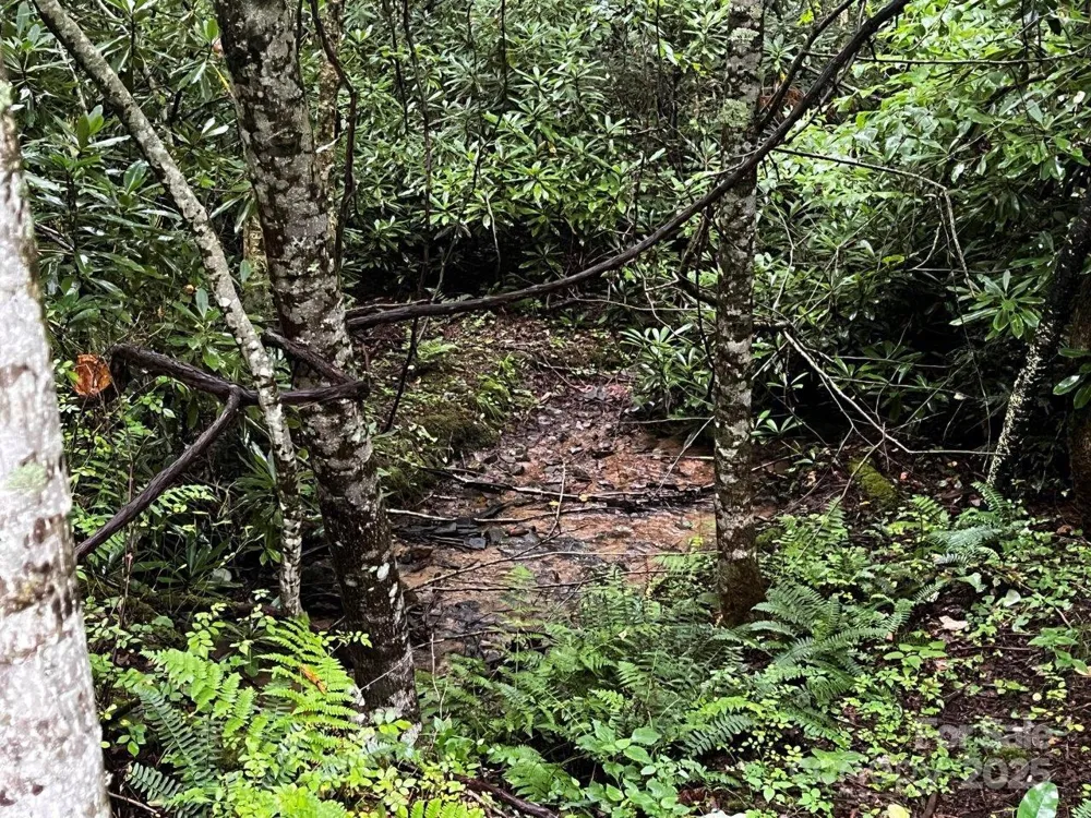 TBD Flat Springs Road Elk Park, NC 28622