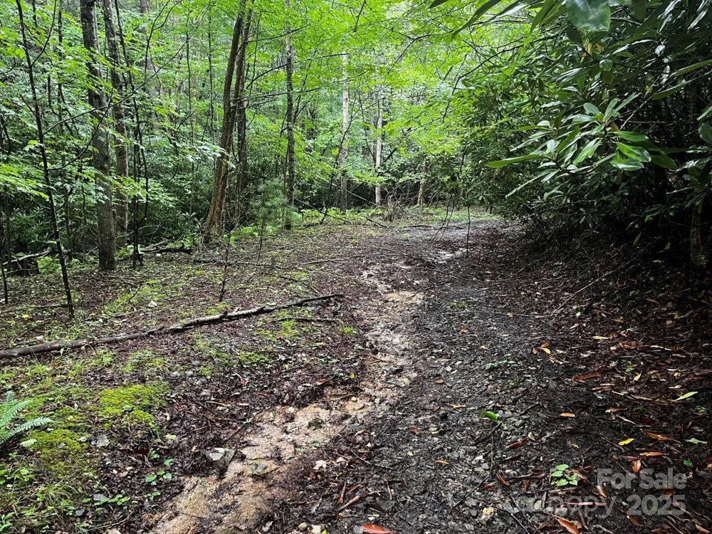 TBD Flat Springs Road Elk Park, NC 28622