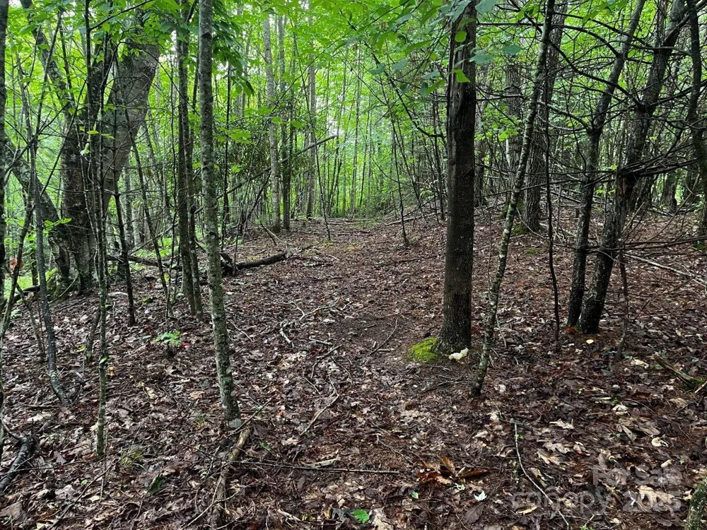 TBD Flat Springs Road Elk Park, NC 28622