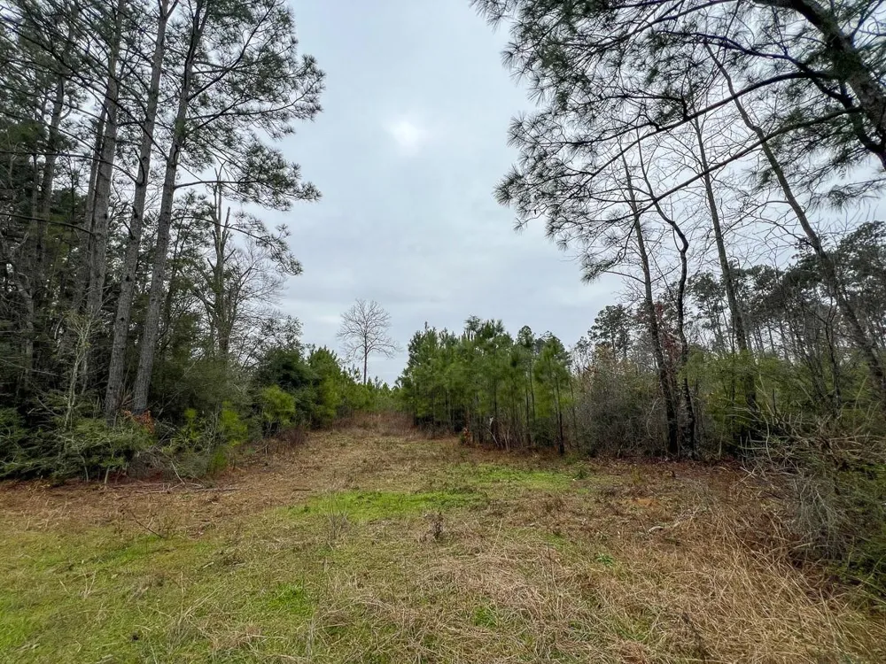1 Fm 2626 Newton, TX 75966