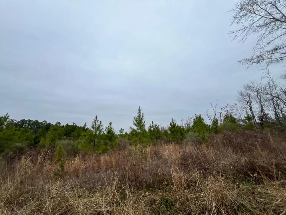 2 Fm 2626 Newton, TX 75966
