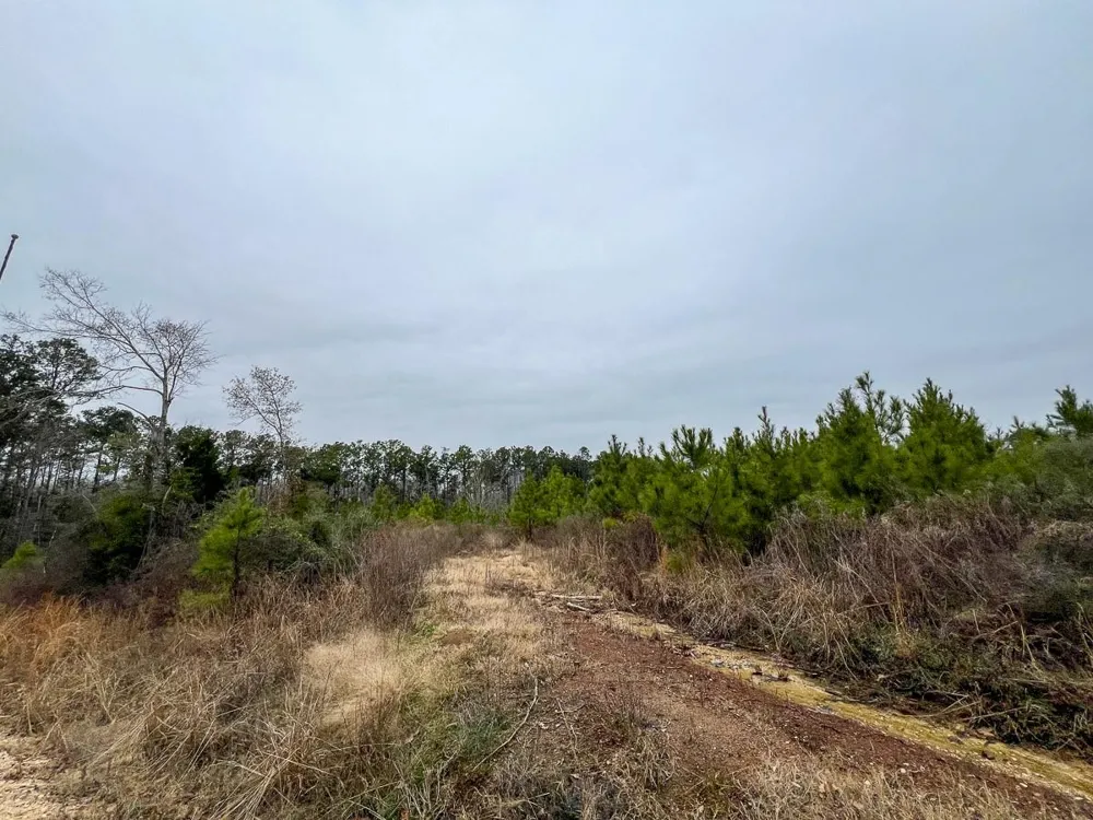 2 Fm 2626 Newton, TX 75966