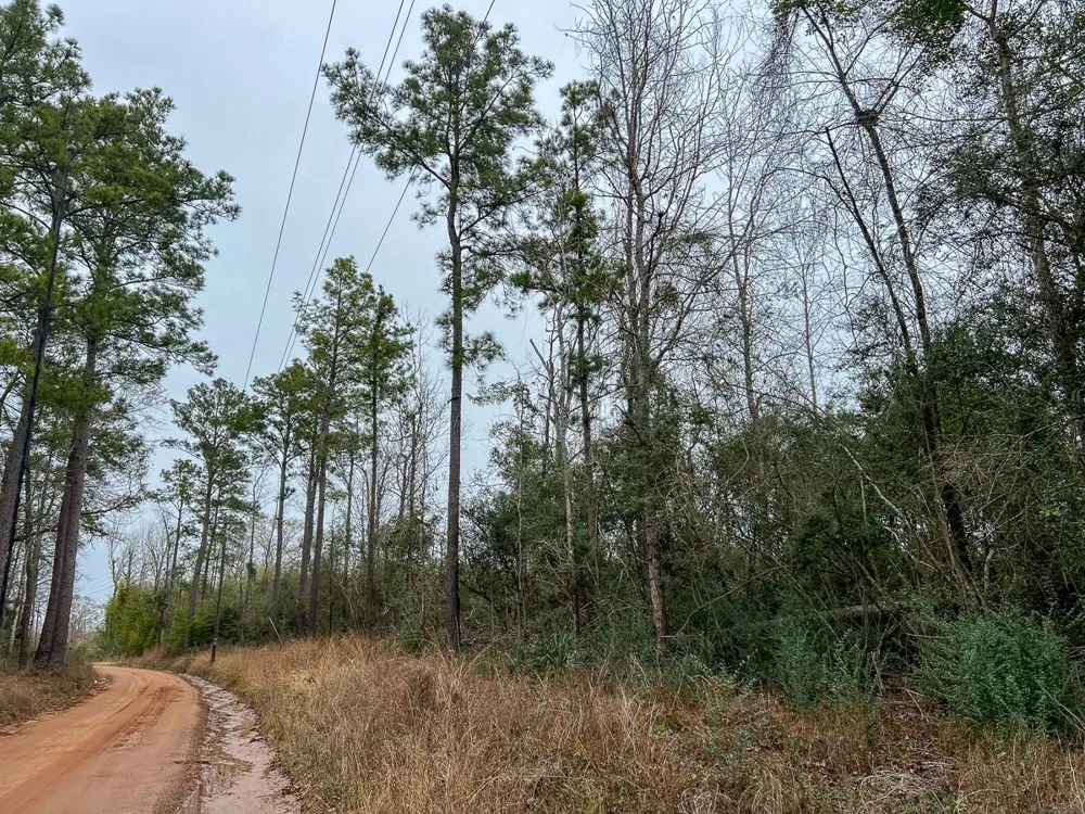 2 Fm 2626 Newton, TX 75966