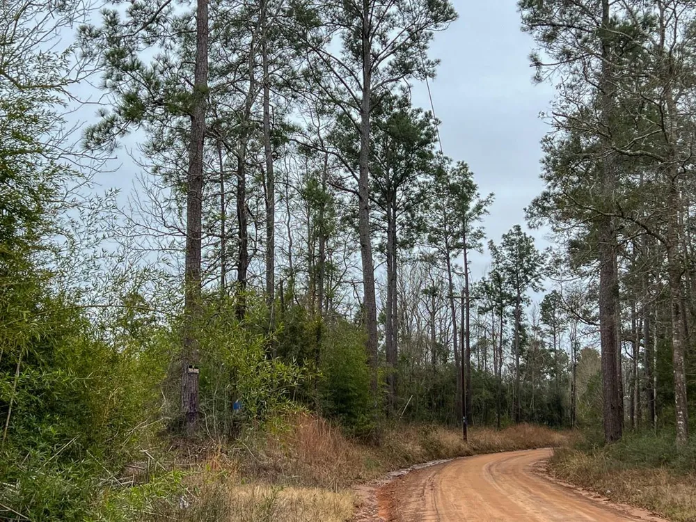 2 Fm 2626 Newton, TX 75966