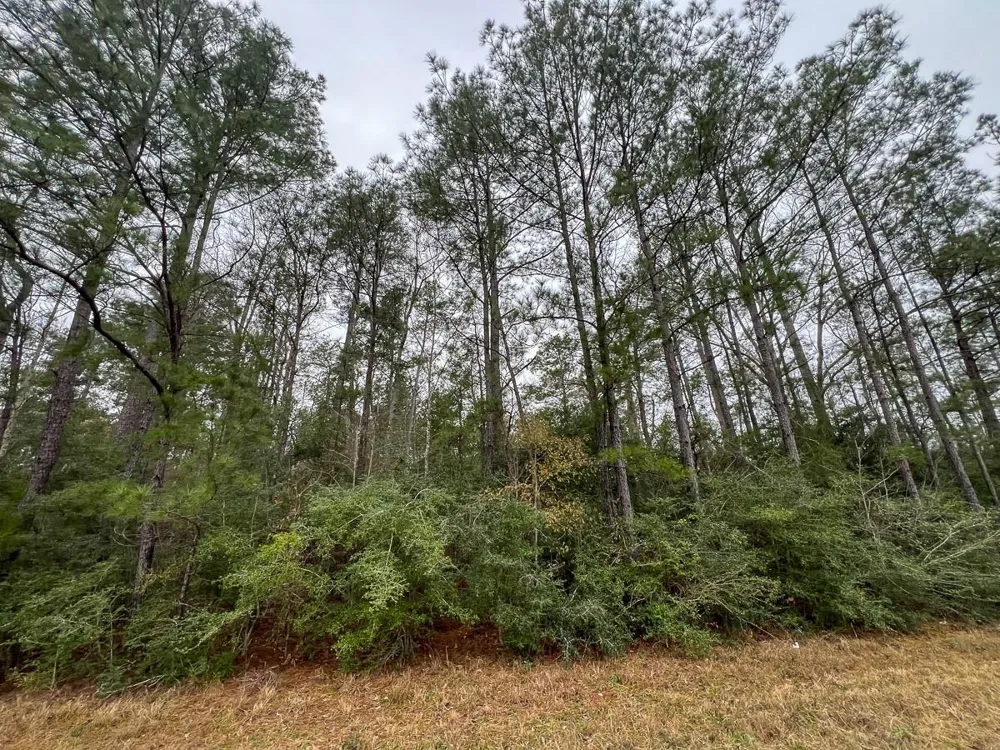 2 Fm 2626 Newton, TX 75966