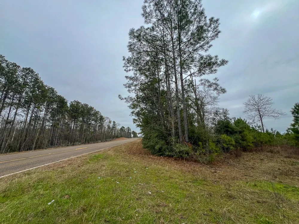 2 Fm 2626 Newton, TX 75966
