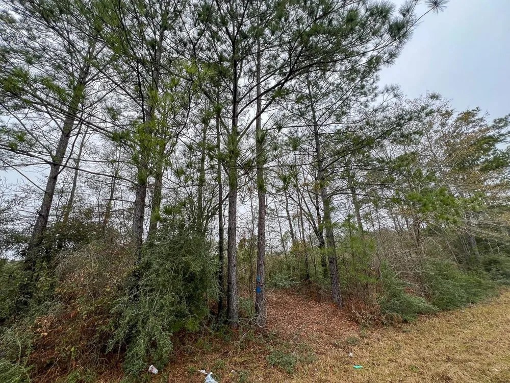2 Fm 2626 Newton, TX 75966