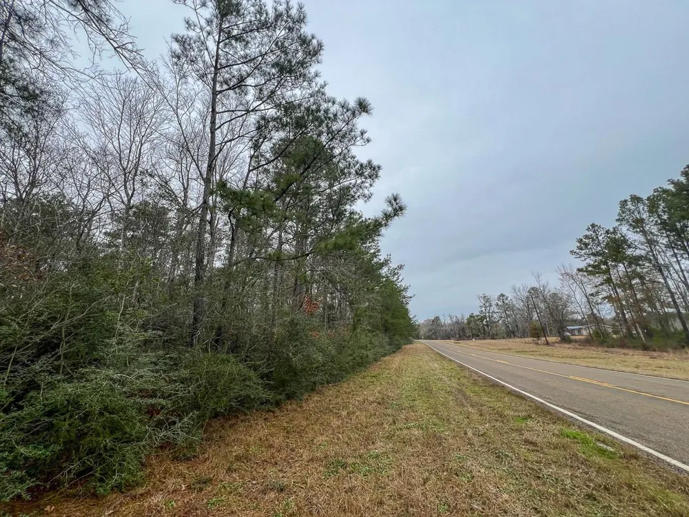 4 Fm 2626 Newton, TX 75966