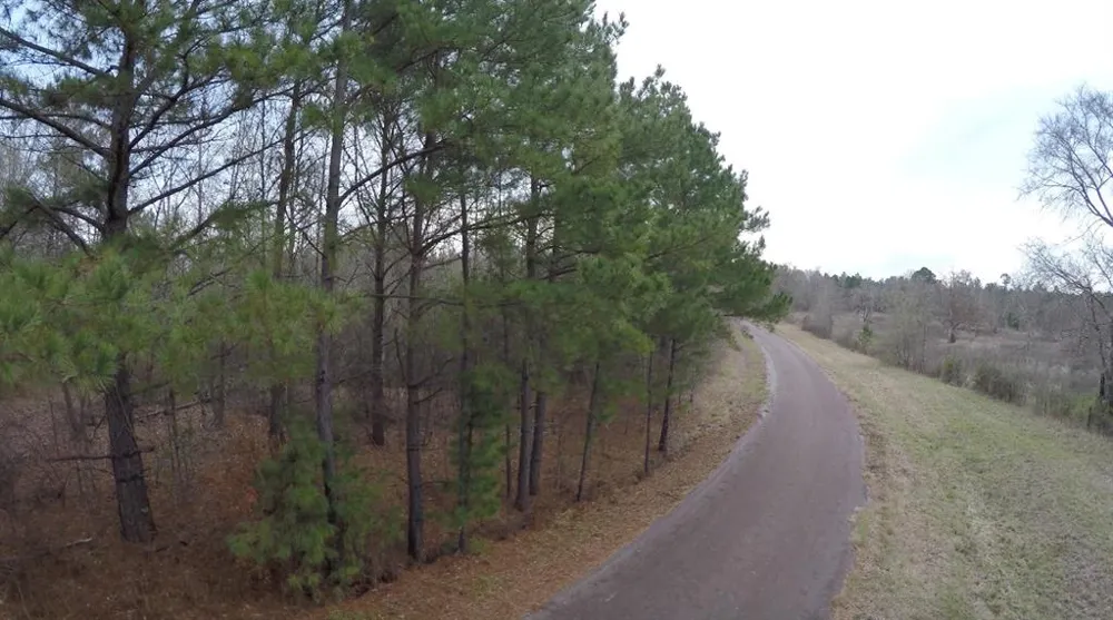 S C R 245 Kilgore, TX 75662