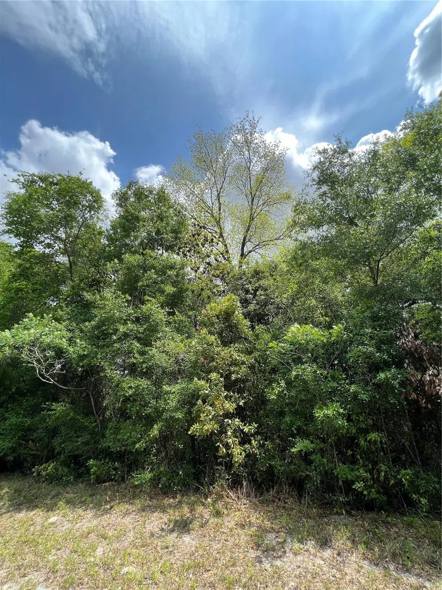 0 NW 70TH CIRCLE Chiefland, FL 32626